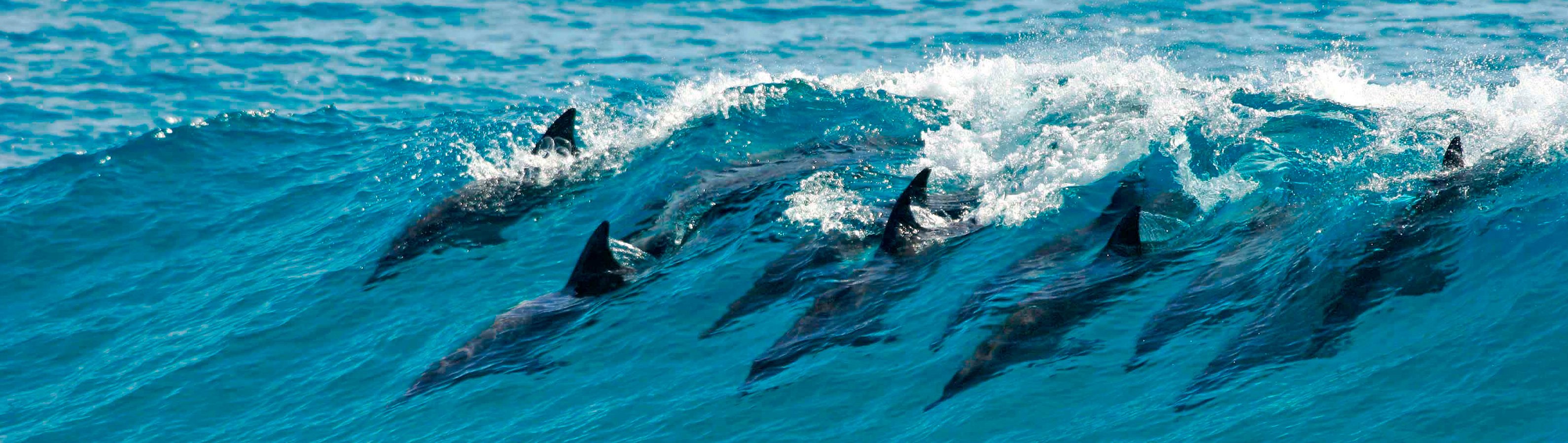 itineraryImageDesktop