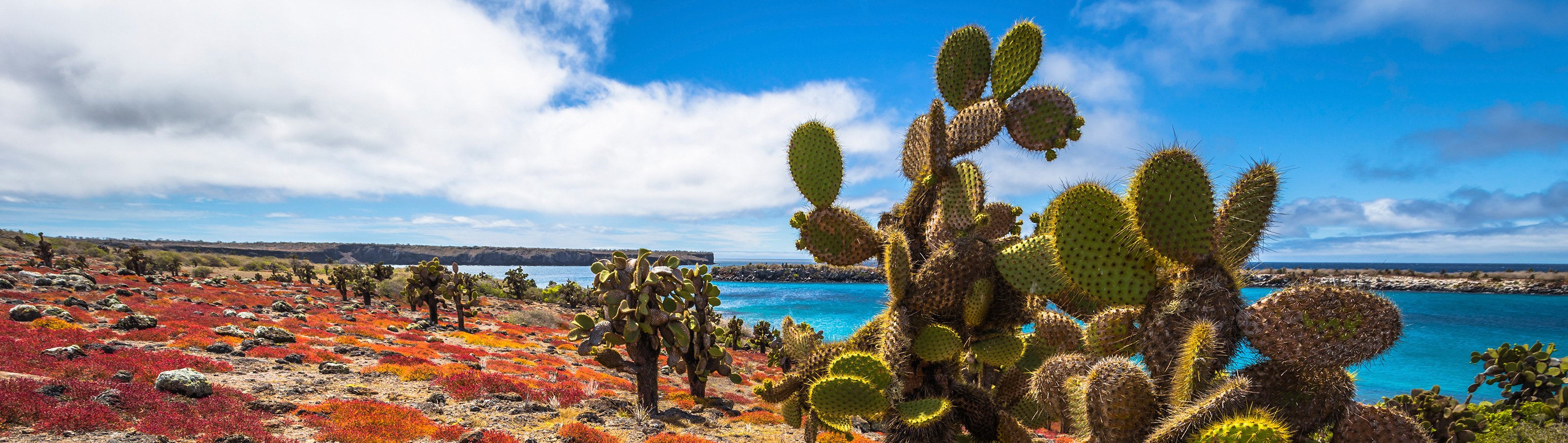 itineraryImageDesktop