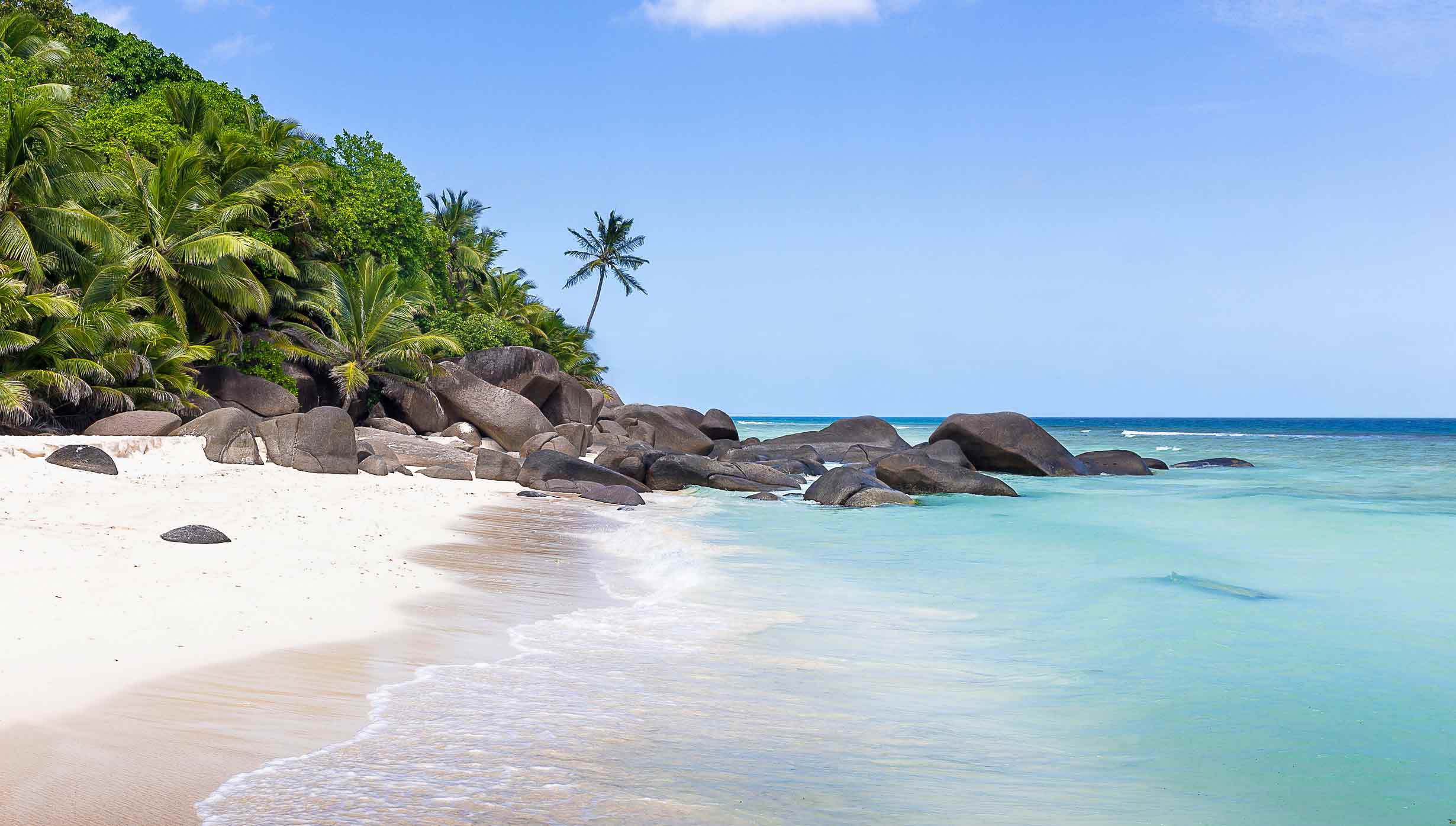 A tropical beach with palm trees, white sand, and turquoise waters | MSC Cruises