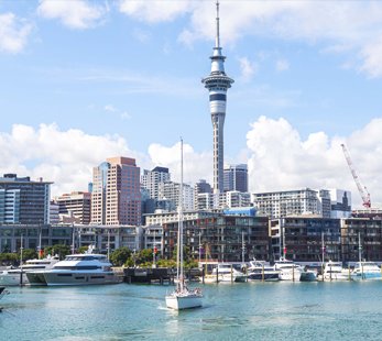 MSC World Cruise 2028 | MSC Cruises