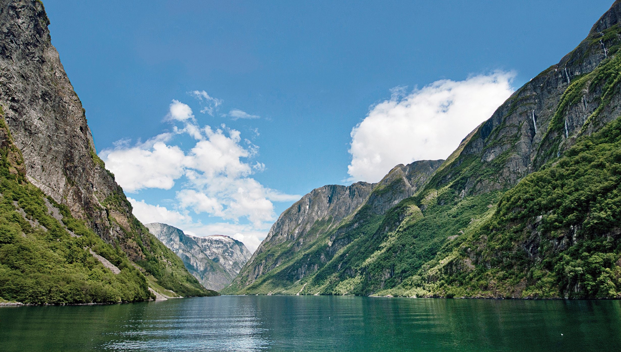msc preziosa flaam, Flåm, Fjord, MSC Preziosa msc preziosa flaam, Flåm, Fjord, MSC Preziosa
