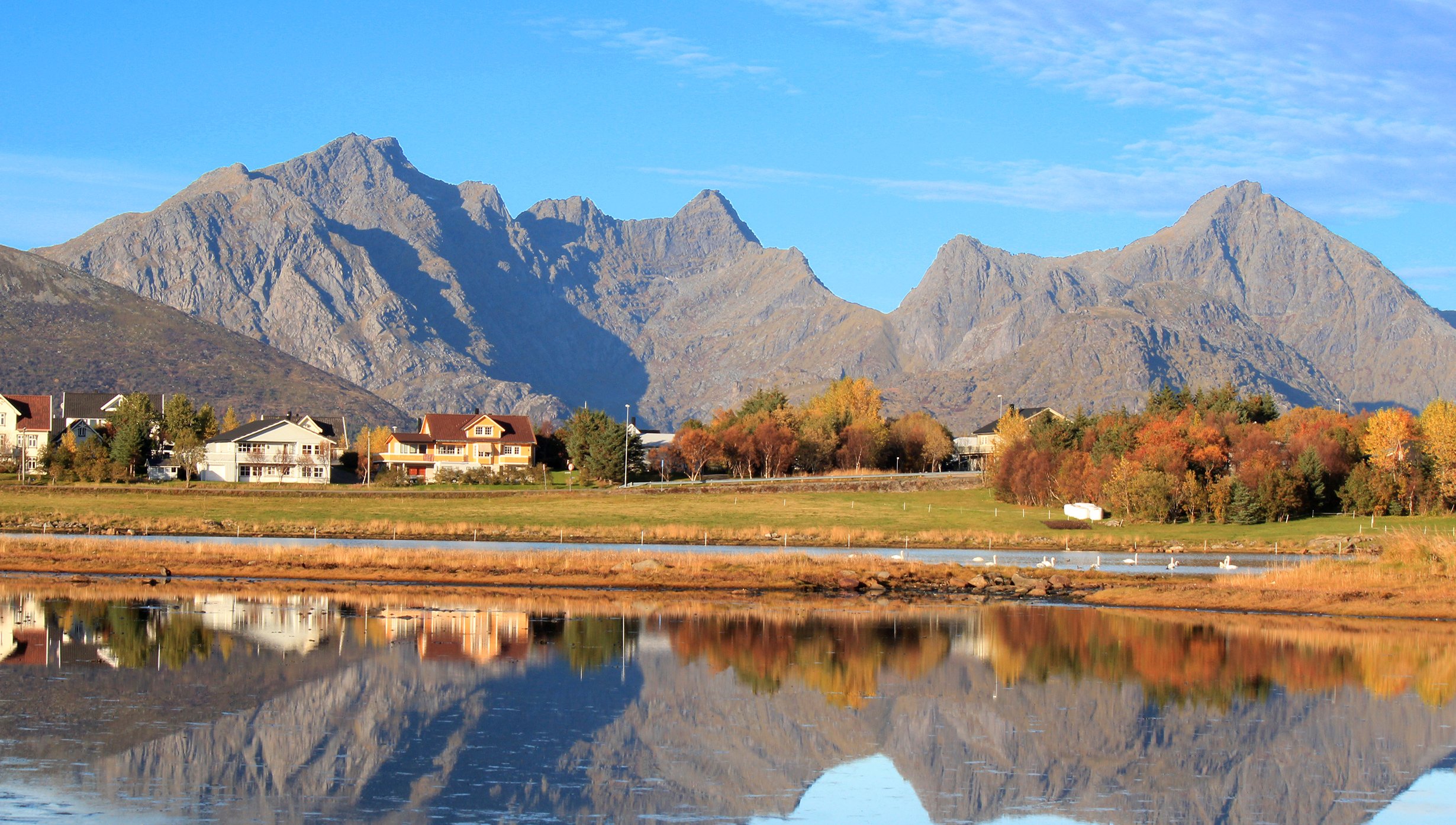 Leknes Cruise Leknes Cruise