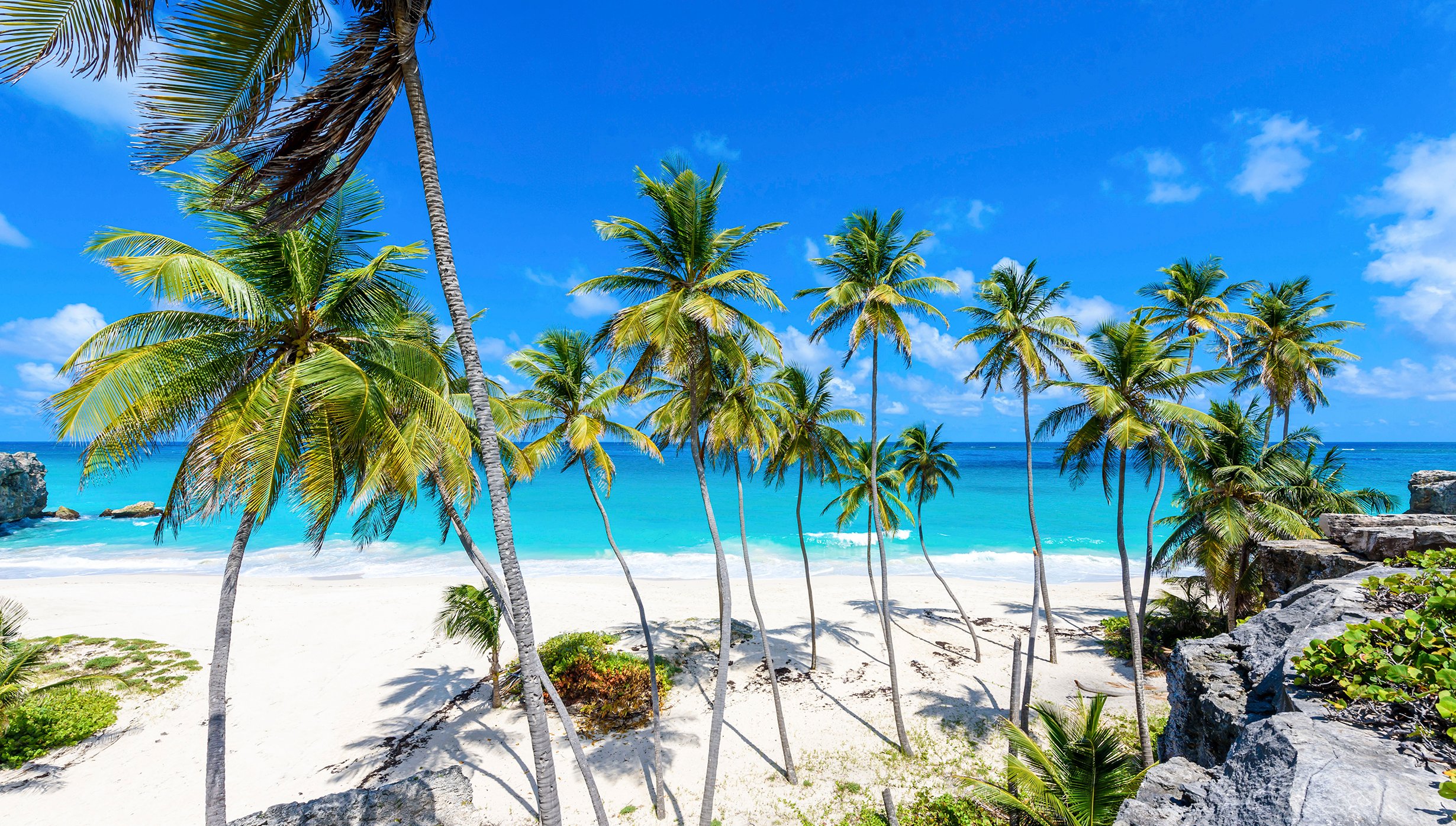 Caribbean & Antilles | MSC Cruises