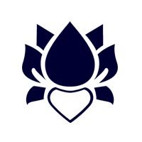 MSC Yacht Club | MSC Cruises