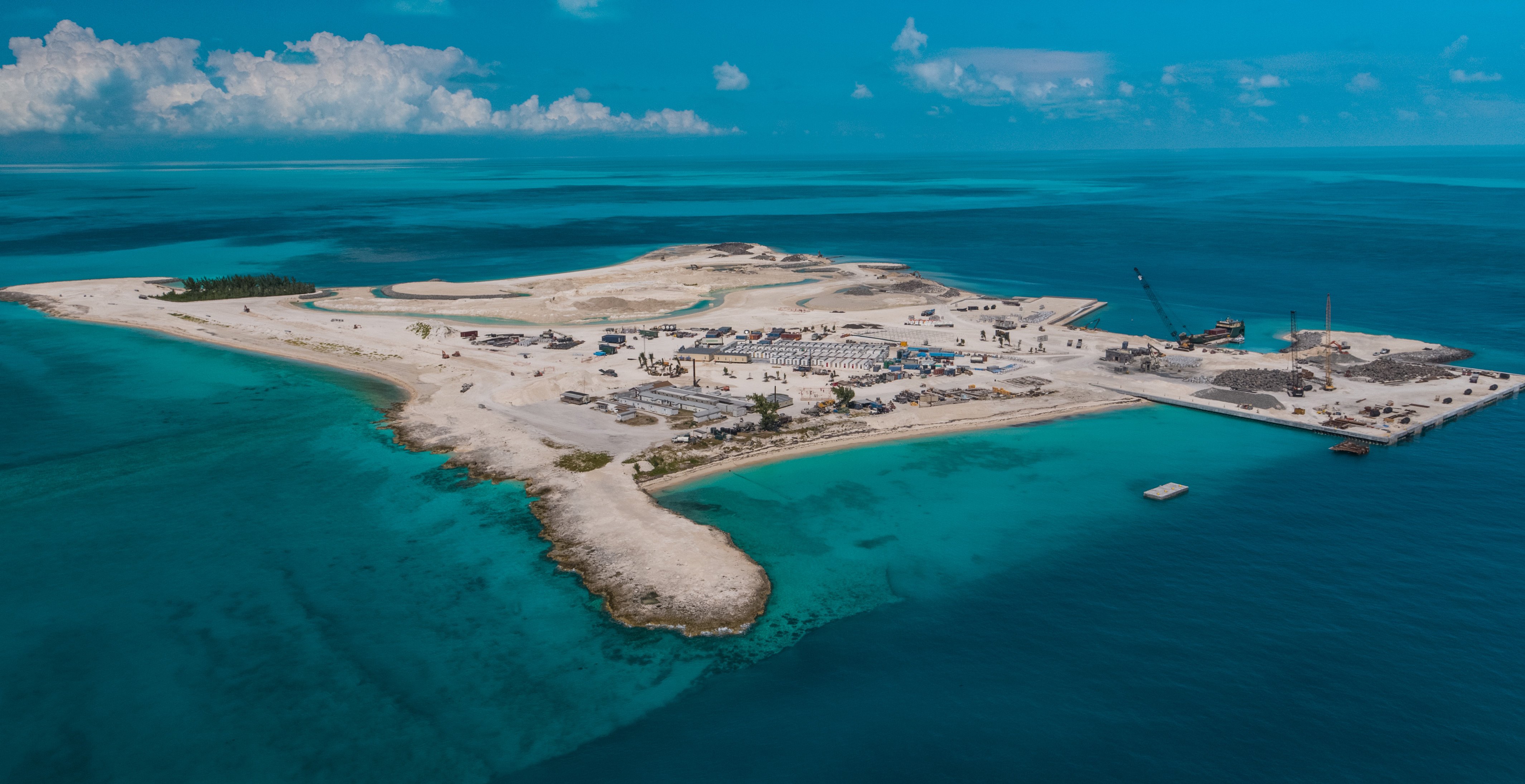 First trees palnted on Ocean Cay MSC Marine Reserve | MSC Cruises