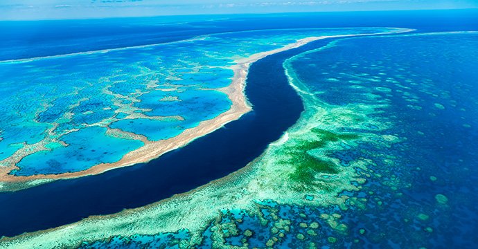 MSC World Cruise 2026 | MSC Cruises