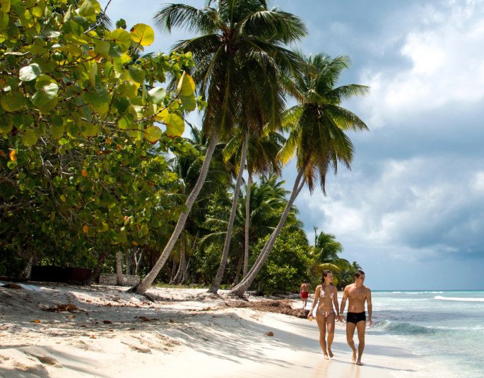 Couple walking along a tropical beach with palm trees and calm waters | MSC Cruises Couple walking along a tropical beach with palm trees and calm waters | MSC Cruises
